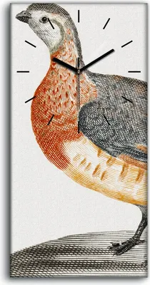Produktbild von Leinwand Wanduhr Wandkunst Uhr Geräuschlos 30x60 Zeichnung Tier Vogel Kunst - schwarze Hände