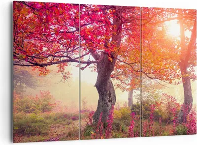 Produktbild von Bild auf Leinwand - Leinwandbild - Baum Natur Wiese - 165x110cm - Wand Bild - Wanddeko - Leinwanddruck - Bilder - Kunstdruck - Wanddekoration - Leinwand bilder - Wandkunst - CE165x110-3658