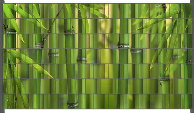 Produktbild von Wallario Zaunsichtschutz mit Motiv Grüner Bambuswald für Ein- und Doppelstabmatten Zäune in der Größe 250 x 140 cm