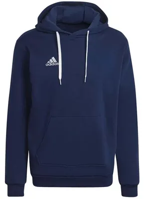 Produktbild von ADIDAS Entrada 22 Sweatshirt Herren blau L