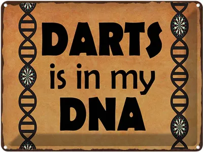 Produktbild von vianmo Blechschild 30x40 cm Darts is in my DANN