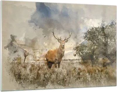 Produktbild von Bilder auf glas - rotwild natur - 120x80cm - Glasbilder - Wandbilder - Kunstdruck - zum Aufhängen bereit - Wanddekoration aus Glas - Glas Bilder - Wandbild auf Glas - Einteilig - GAA120x80-3465