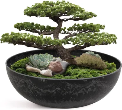Immagine prodotto di Fioriera per esterni Ciotola decorativa rotonda nera marmorizzata 25 cm