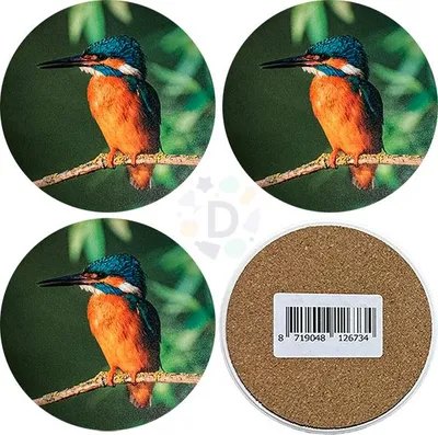 Produktbild von Untersetzer Eisvogel 4-tlg. Ø10cm