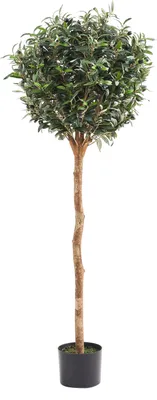 Produktbild von aplanta Künstlicher Olivenbaum – Thalior | 150 cm, Echtholzstamm, UV-beständig, für drinnen, Kunstbaum, wie echt, Allergiker geeignet, pflanzliche Dekoration Praxis, Office & Wohnzimmer