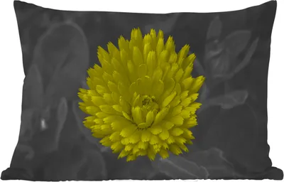 Produktbild von MuchoWow® Outdoor Kissen - Blumen - Aquarell - Löwenzahn - 50x30 cm - Wetterfest - Lounge Kissen - Sofa kissen - Wohnzimmer Dekoration