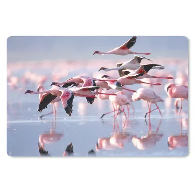 Produktbild von MuchoWow® Mauspad Mousepad Rosa Flamingos auf dem Wasser 27x18 cm - Mousepads - Maus Mat - Pad - Mausunterlage - Büroartikel - Desk Matten
