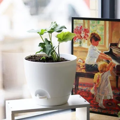 Image de Pots de 20 cm pour l'intérieur et l'extérieur, lot de 6, pots en plastique à arrosage automatique avec trou de drainage et réservoir, pour l'intérieur, le balcon, le jardin, blanc