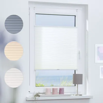 A white pleated blind is shown on a window, with three circular swatches of different colored blinds to the left. The window overlooks a beach scene.