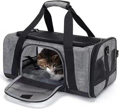 Produktbild von Famanu Transportbox für Haustiere - faltbare Hundetasche, grau