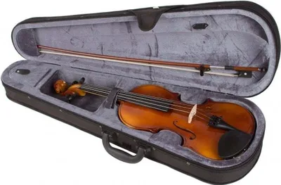 Image de Stagg Vn 3/4 - Violon acoustique 3/4