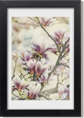 Produktbild von Bild 20x30 MDF-Rahmen, Wandkunst Magnolie