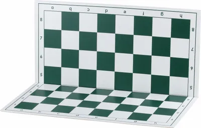 Image de Échiquier pliant en plastique n° 6, blanc et vert