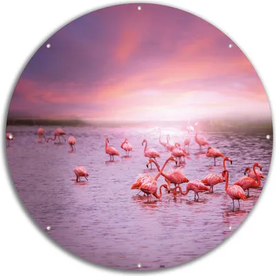 Produktbild von Wallario rundes Outdoor-Poster für Garten oder Balkon, Motiv Rosa Flamingos bei Sonnenuntergang, 60 cm Durchmesser