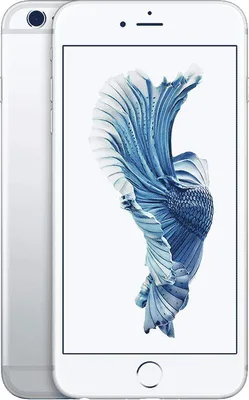 Produktbild von Apple iPhone 6s Plus, 14 cm (5.5"), 1920 x 1080 Pixel, 16 GB, 12 MP, iOS 10, Silber