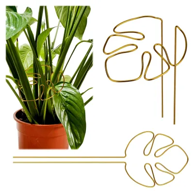 Produktbild von 2 Stück Pflanzenstütze für Monstera, Goldene Stammstützen für Kletterpflanzen, Zubehör für das Pflanzenwachstum in Innen- und Außenbereichen
