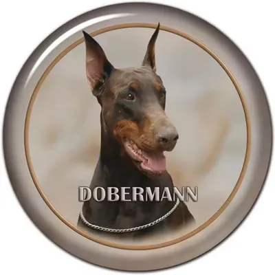 Productafbeelding van Autosticker met afbeelding van een Dobermann, rond, 18 cm, reflecterend, waterdicht, geschikt voor auto's en meer