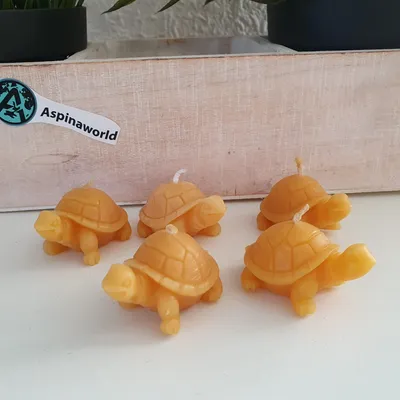Produktbild von Schildkröten Kerze 5er Set aus 100% Bienenwachs