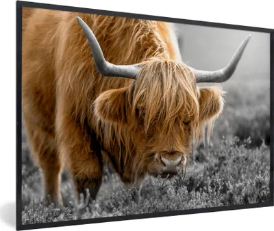 Produktbild von MuchoWow® MuchoWow® Gerahmtes Poster Schottisches Hochlandrind - Tiere - Braun - Kuh - Schwarz - Weiß - Natur 60x40 cm - Poster mit zchwarzem Bilderrahmen - Printing - Wanddeko Schlafzimmer