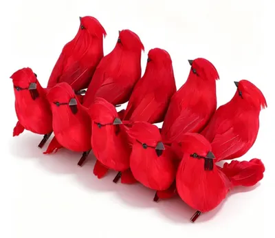 10 rote Kunstvögel mit Clips, 13,5 cm, Weihnachtsdekoration