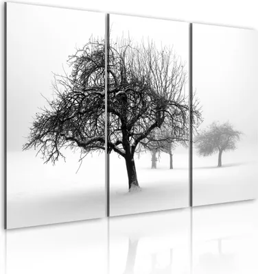 Produktbild von Modernes Wandbild 030212- 5 (120x80) - 3 Teilig Bilder Fotografie auf Vlies Leinwand Foto Bild Dekoration Wand Bilder Kunstdruck Natur