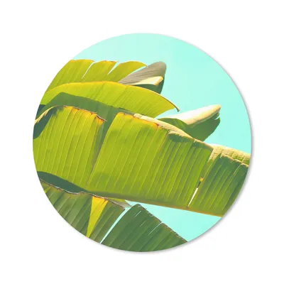Produktbild von MuchoWow® Mauspad Mousepad Bananenblatt - Blätter - Tropisch - Sommer 20x20 cm - Mousepads - Maus Mat - Pad - Mausunterlage - Schreibtischmatte
