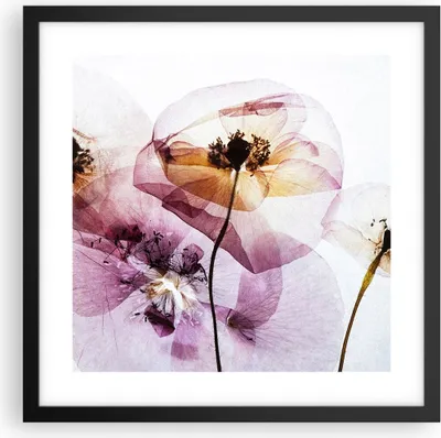Produktbild von Gerahmtes Poster - Schwarzer Rahmen - blume sommer natur - 40x40 cm - Wand Bild - Wanddeko - Wandbilder - Kunstposter - Wandposter - Bilderrahmen - Bilder - Kunstdruck - Wandbild - P2BAC40x40-3821
