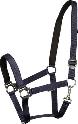 Image de Harry's Horse Licol Padded noir poney noir poney