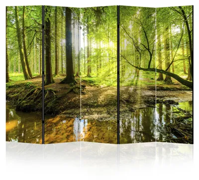 Immagine prodotto di LUMASOUL Paravento Bifacciale, paravento divisorio per interni, Motivo naturale, 225x172 cm