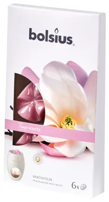 Zdjęcie produktu dla Wax Melts 6 pack True Scents