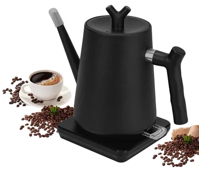 Wasserkocher 1 L, 1000 W, Edelstahl, Schwarz