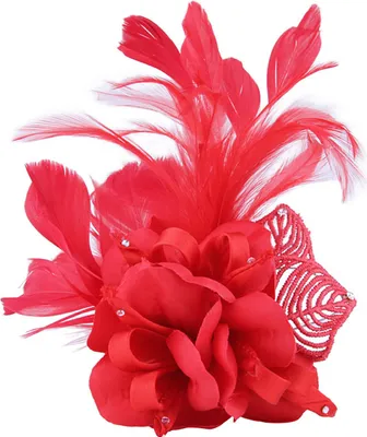 Produktbild von Brosche-Abzeichen, elegante Kleidung, passend zu verschleißfesten handgefertigten Stoffen, Feder-Brosche, Schal-Dekoration-Rot
