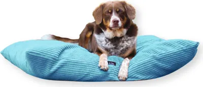 Produktbild von 4L Textil MOLLY Hundekissen flauschig Cord Hundebett Grosse Hunde mit Bezug und Reißverschluss kuscheliges Hundekissen waschbar (100x80 cm, Türkis (Stripes)