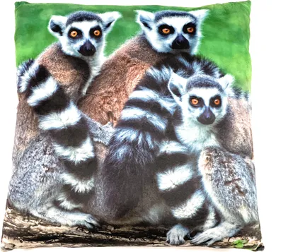 Obrázok produktu pre Onwomania opica lemur plyšový vankúš na pohovku alebo posteľ ako dekorácia alebo plyšový vankúš 35x35 cm