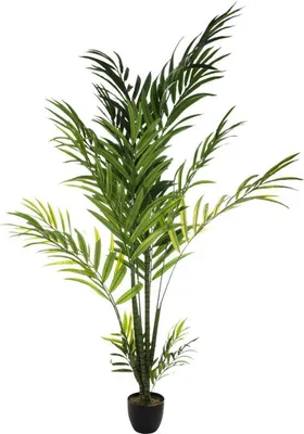 Produktbild von Künstliche areca-palme h230cm  - Atmosphera créateur d'intérieur