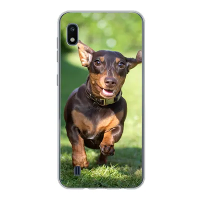 Produktbild von MuchoWow® Handyhülle Schutzhülle Hülle für Samsung Galaxy A10 Ein sprintender Dackel Silikon Softcase Handy Hülle - Schutzhülle