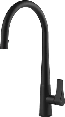 A black kitchen faucet against a white background.