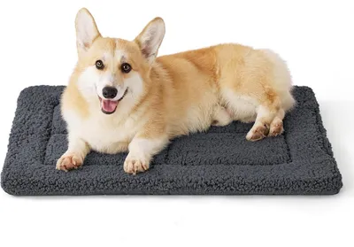 Immagine prodotto di Tappetino per cani lavabile, dimensioni 74x46 cm, colore grigio scuro, imbottito in schiuma