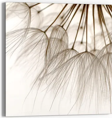 Produktbild von DEQORI Glasbild Echtglas 30x30 cm 'Pusteblumenpoesie' Wandbild Bild modern Deko
