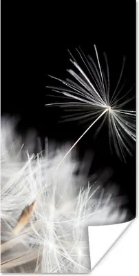 Produktbild von MuchoWow® Poster Blume - Löwenzahn - Pflanze 60x120 cm - Wandschmuck