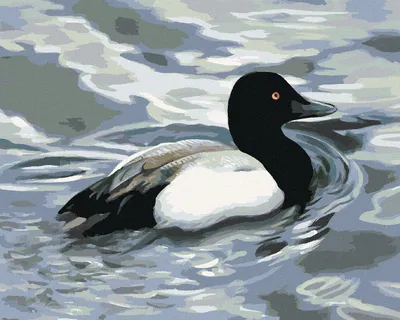 Produktbild von Zuty - Malen nach Zahlen - ENTE AUF DEM WASSER (D. RUSTY RUST), 40x50 cm, mit Keilrahmen (bereits gespannt)