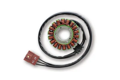 Image de PW 270-198 Stator ESG198 Piaggio, APRILIA (Les stators ayant subi des modifications techniques ne sont pas échangeables.)
