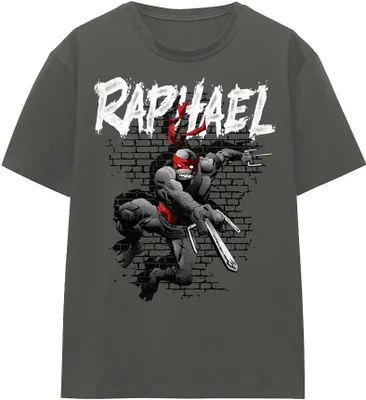 Immagine prodotto di Teenage Mutant Ninja Turtles - Maglietta da uomo/donna Unisex TV16882 (XL) (Charcoal)