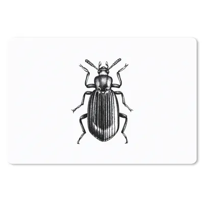Produktbild von MuchoWow® Schreibtischunterlage Käfer - Tiere - Vintage 60x40 cm - XXL Mauspad - Großes Mauspad