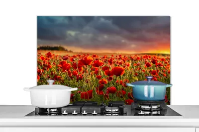 Produktbild von KitchenYeah®  Spritzschutz Küche - Küchenrückwand - Wandschutz für Herd und Spüle - Sonnenuntergang - Mohnblumen - Rot - Blumen - Feld - Natur 80x55 - Alu-Dibond (Alternative zum Spritzschutz aus Glas