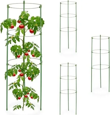 Immagine prodotto di Supporti per piante verdi da 60 cm, set da 4