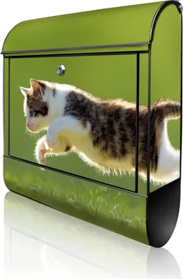 Produktbild von banjado Design Briefkasten Stahl schwarz mit Zeitungsfach pulverbeschichtet "Jagende Katze" 38x46x12,5cm & 2 Schlüssel - Postkasten A4 Einwurf inkl. Montagematerial [BKSCH 10729]
