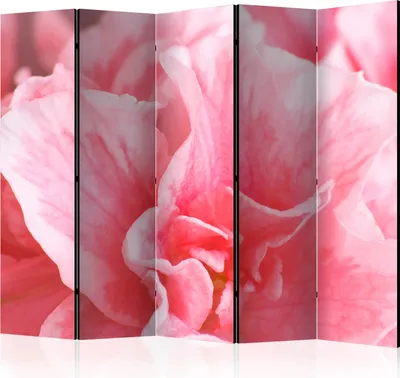 Produktbild von 5-teiliger Einseitiger Vlies Paravent - Pink azalea flowers II 225x172 cm Blumen b-C-0542-z-c