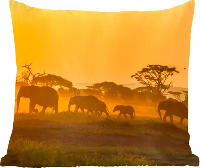 Produktbild von MuchoWow® Zierkissen Sofakissen Wohnzimmer Dekokissen 60x60 cm Elefant - Tier - Orange - Sitzfläche - Foto Polster