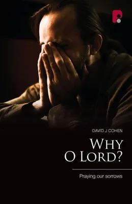 Produktbild von Why O Lord?